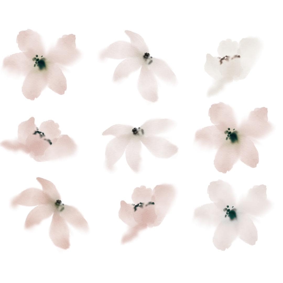 Picture of a white background with dusty rose and vintage white flower wall decals