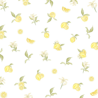 Delicate lemon flowers and leaves fabric wall decals in soft, vibrant colours. These non-toxic and removable decals add a fresh and botanical touch to any room, perfect for kitchens, dining areas, or as a cheerful accent in living spaces.