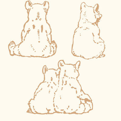 Bear Bum Wall Decals