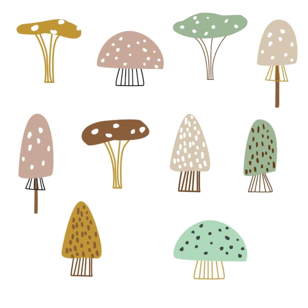 Picture of 10 bohemian mushrooms 