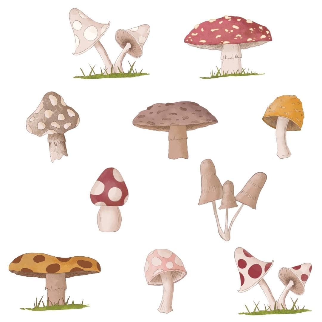 Autocollants Muraux Champignons