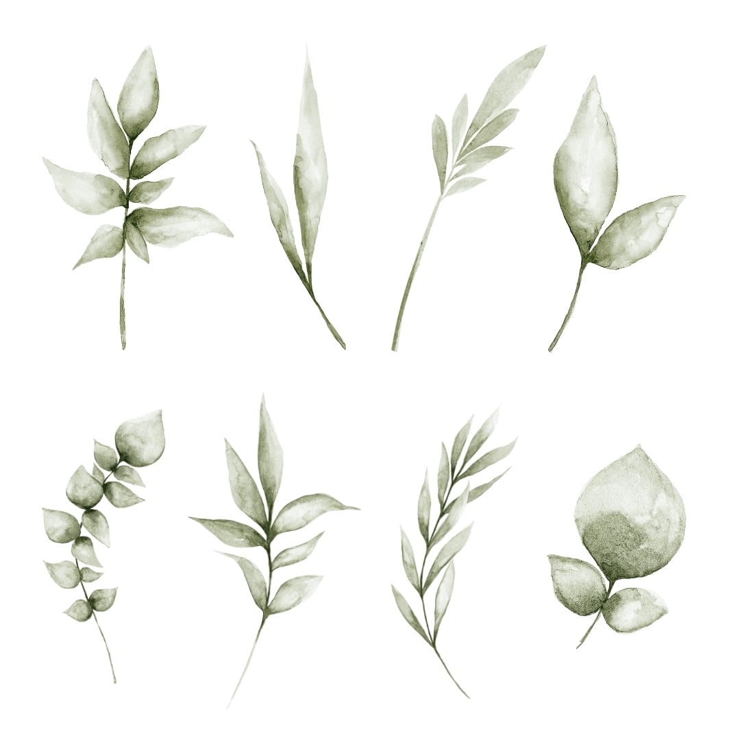 White background watercolour sage leave wall decals