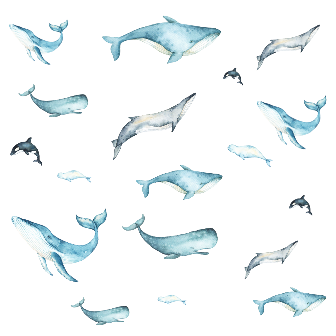 Whales Wall Decals