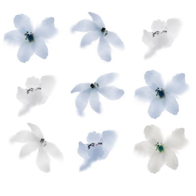 White background with vintage blue and grey wall decals